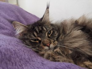 photo_2019-06-18_14-53-41 (3).jpg