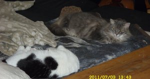 endlich gemeinsam.JPG