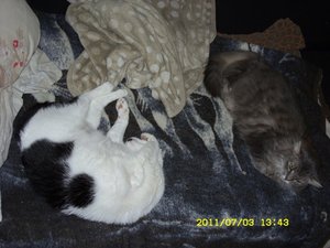 endlich gemeinsam2.JPG