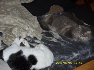 endlich gemeinsam 1.JPG