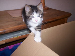 7 Wochen 2 Tage 017.JPG