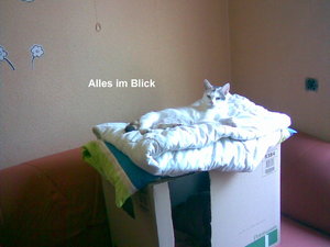 Bild032.jpg
