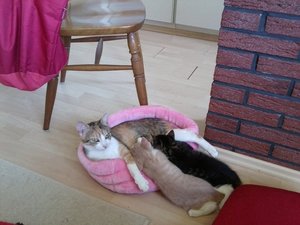 8 Wochen, 5 Tage.jpg