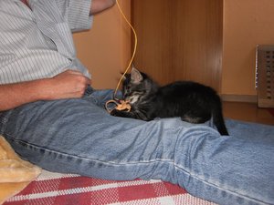 babys 2. tag 020.jpg