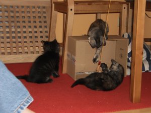 babys 2. tag 008.jpg