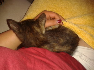 2011-07-14 07.00.13.jpg