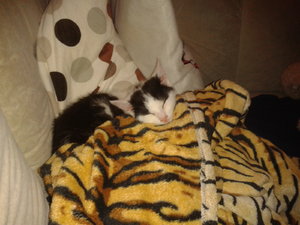 2011-07-14 07.19.26.jpg