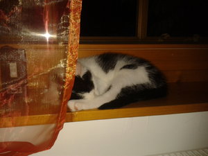 2011-07-12 21.58.15.jpg