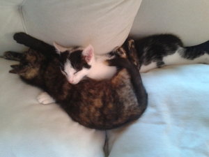 2011-07-16 15.58.46.jpg