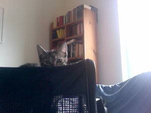 Foto am 17-07-2011 um 15.17.jpg