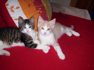 10 Wochen 1 Tag 019.JPG