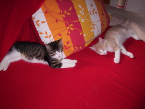 10 Wochen 1 Tag 020.JPG