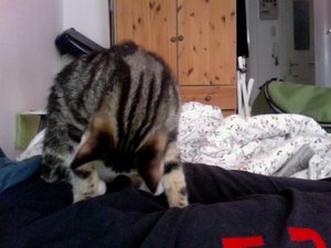 Foto am 18-07-2011 um 20.03 #2.jpg