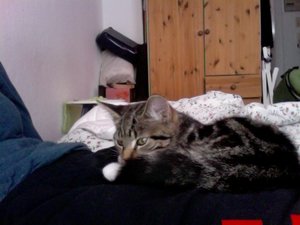 Foto am 18-07-2011 um 20.05.jpg