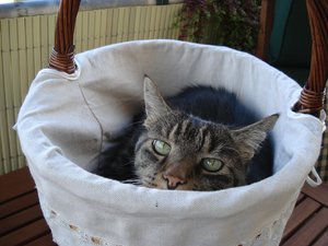 August 2010-2.Ordner 083.jpg