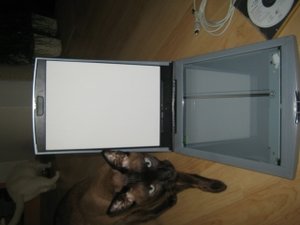 zu verkaufen 001.jpg