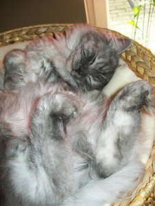 azula & chico 016.jpg