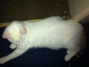 Luca&Ich&Miu 038.jpg