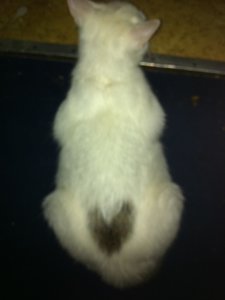 Luca&Ich&Miu 044.jpg