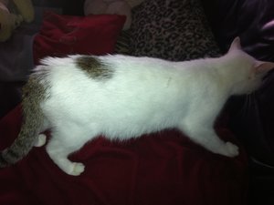 Luca&Ich&Miu 036.jpg