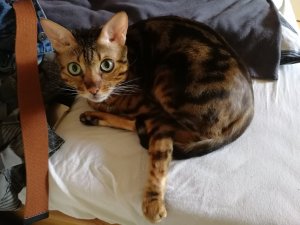 IMG_20190621_110526.jpg IMG_20190621_110526.jpg