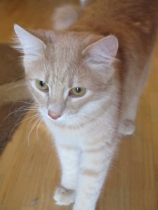 IMG_1288 (Small).JPG