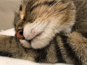 WhatsApp Image 2019-06-29 at 20.42.06.jpeg