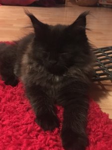 27710670_1173927269377535_484974505_o.jpg 27710670_1173927269377535_484974505_o.jpg