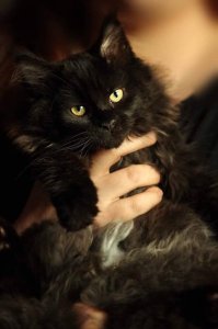 28117365_1185499968220265_50869022_n.jpg 28117365_1185499968220265_50869022_n.jpg