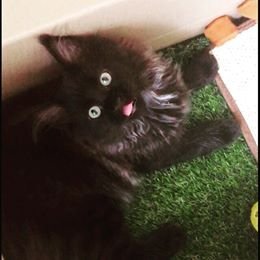 28236272_1185499801553615_488018010_n.jpg 28236272_1185499801553615_488018010_n.jpg