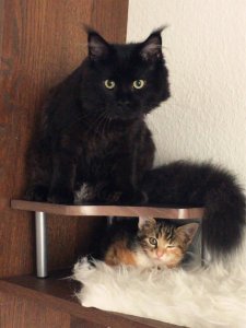 30705088_1234063876697207_149988963875028992_n.jpg 30705088_1234063876697207_149988963875028992_n.jpg