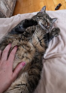 IMG_20190505_140855 (2).jpg