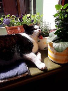 20180417_132515.jpg 20180417_132515.jpg