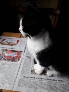 20180430_095719.jpg 20180430_095719.jpg