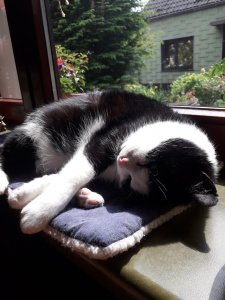 20190523_141835.jpg 20190523_141835.jpg