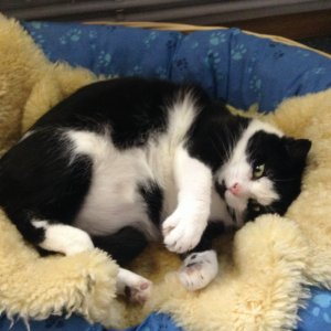 Rocky 2.JPG Rocky 2.JPG