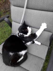 20180418_180417.jpg 20180418_180417.jpg