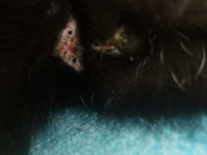 IMG_20190715_193618.jpg IMG_20190715_193618.jpg