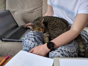 Point Blur_Jul182019_184039.jpg