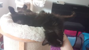 WhatsApp Image 2019-07-21 at 13.16.19.jpeg