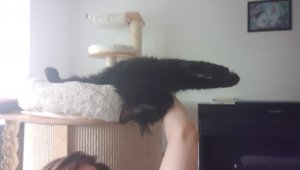 WhatsApp Image 2019-07-21 at 13.17.06.jpeg