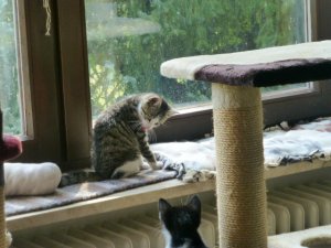 P1270714.JPG P1270714.JPG