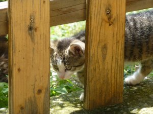 P1270001.JPG P1270001.JPG