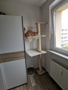 photo_2019-08-10_12-15-42 (3).jpg