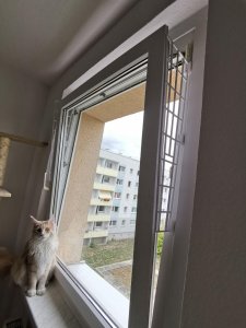 photo_2019-08-10_12-15-39 (2).jpg