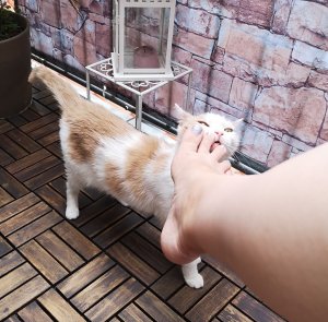 IMG_20190801_131939 (2).jpg