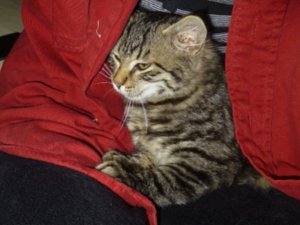 P1280514.JPG P1280514.JPG