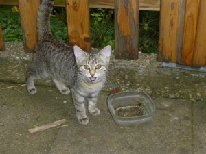 P1280461.JPG P1280461.JPG