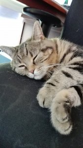 IMG_20190824_084415.jpg IMG_20190824_084415.jpg