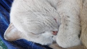 IMG_20190824_083438.jpg IMG_20190824_083438.jpg